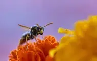 Гороскоп для всіх знаків зодіаку на 18 липня 2025 року