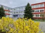 В Черкассах тренер проиграла в казино 1,35 млн грн, собранных на поездку детей в Грузию