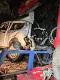 В Северной Осетии взорвали высокопоставленного офицера минобороны РФ: что известно