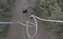 Drone operators of 65th SMB destroy occupiers’ logistics by destroying enemy transport in rear. VIDEO