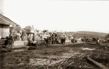 Компенсации депортированным украинцам из Польши 1944–1951 годах: кто получит выплаты