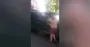 В Одессе женщину протащил по асфальту бус ТЦК: реакция военкомата