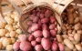 Действительно ли белый картофель вреднее фиолетового? Ученые раскрывают неожиданную правду