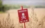 Обережно, міни: чому Україна виходить з Оттавської конвенції