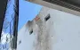 Enemy strikes Sumy with drone carrying shrapnel: 2 wounded