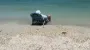 Мужчина уснул на пляже у самого берега и оказался по шею в воде (видео)