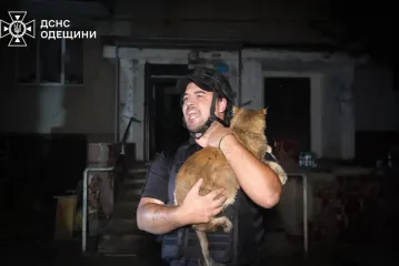 Массированная атака по Одессе: ГСЧС спасла людей и животных из квартир в пламени (фото, видео)