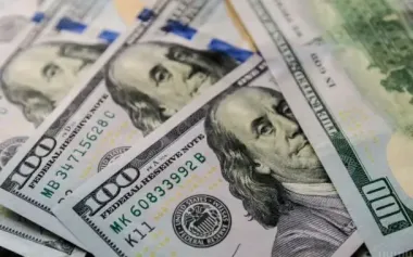 Курс валют на вихідні, 19-20 липня: скільки коштують долар, євро і злотий