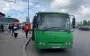 Дешеві автобуси з Києва? Експерт пояснив, чи можуть з'єднати столицю з Бучею та Броварами