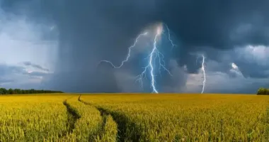 Дожди, грозы и град: где объявлено штормовое предупреждение