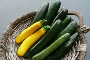 Що буде з вашим організмом, якщо у сезон регулярно вживати цукіні