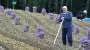 "Картельный сговор": в Беларуси будут наказывать магазины за отсутствие картофеля