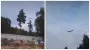 "Детство завершилось": известный аист Катя улетела вместе с другой стаей (видео)