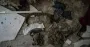 The AFU neutralized almost 70 Russian occupiers in the Pokrovsky direction during the day