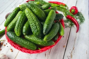 Не выбрасывайте горькие плоды: как сделать огурцы вкусными за одну минуту — кулинарный трюк