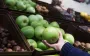 В российских магазинах продают яблоки из Северной Кореи, - FT
