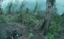 Ukrainian defenders entered enemy dugout and planted anti-tank mine to destroy it. VIDEO