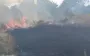 В Одесской области вспыхнул сухостой на площади 18 000 кв. м