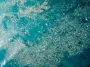 Неизученные частицы с невероятной скоростью наполняют Атлантику: уже найдено 27 млн тонн
