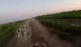 Заклинило ружье: украинский боец отбил вражеский FPV рукой (видео)
