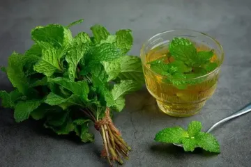 Как заготовить мяту на зиму, чтобы она сохранила свой вкус и аромат: два лучших способа