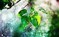 В Україні чергуватимуть грози зі спекою до +37°