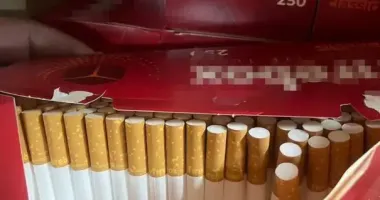 Пакував сигарети в гаражі: на Закарпатті викрили підпільний тютюновий цех