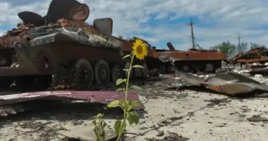 В Запорожской области война навредила экологии более чем на 20 миллиардов
