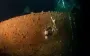 В Северном море нашли британский корабль, затонувший в Первую мировую
