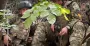 Уничтожили два батальона: полк "Скала" поделился деталями операции под Курском (видео)