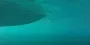 Женщина уронила GoPro камеру на дно океана: увиденное на видео напугало людей (видео)