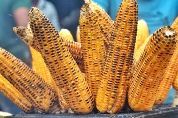 Кукуруза будет готова без кастрюли и воды: завернуть кочан, чтобы вкуснятина приготовилась за три минуты