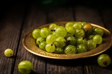 Можно ли замораживать крыжовник на зиму: как это правильно сделать, чтобы ягоды были целыми