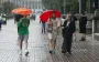Упал строительный кран, сломанные деревья и потоп: Киев накрыл мощный ураган