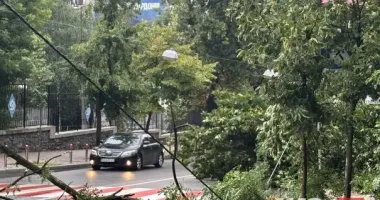 У Києві в Печерському районі впало дерево: смуга руху перекрита