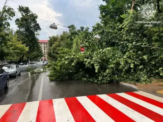 Ураган в Киеве: в городе более 30 поваленных деревьев, есть пострадавшие (фото, видео)