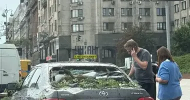 В столице из-за непогоды рухнули деревья: повреждены автомобили, есть пострадавшие