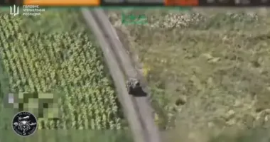 Розвідники показали, як роботи ГУР нищать росіян біля Торецька та Покровська