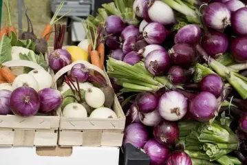 Чем удобрить лук в июле, чтобы лучше рос