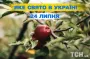 Какой завтра, 24 июля, праздник — все об этом дне, какой церковный праздник, что нельзя делать