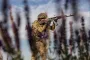 Ukraine struck 13 areas of concentration of the Russian army