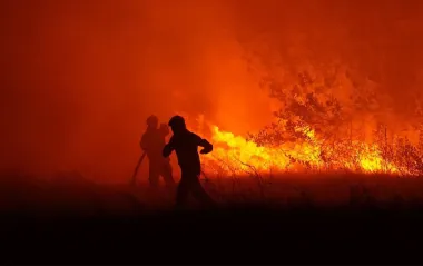 У Греції спалахнула масштабна лісова пожежа: влада евакуює села