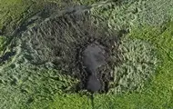 Винищувач Mirage потонув у болоті на Волині - ДБР