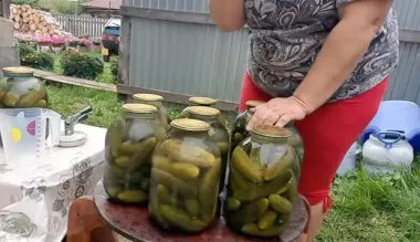 Секрет на дні банки: як приготувати хрумкі мариновані огірки без кип’ятіння - рецепт, який підкорив YouTube