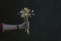 День ангела 24 липня: кого та як вітати з іменинами
