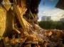 Одеса пережила пекельну ніч: у місті сильні руйнування, є травмовані (фото)