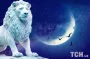 Новолуние в Леве 24 июля 2025: нюансы периода и что запрещено делать