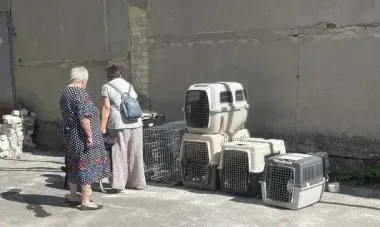 Евакуйованих з-під Покровська жінок із тваринами виганяють із села на Вінниччині