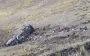 В Перу автобус упал в горное ущелье: 15 погибших