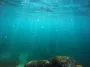 Морская жара накрыла почти весь Мировой океан: ученые назвали год, который мог стать переломным